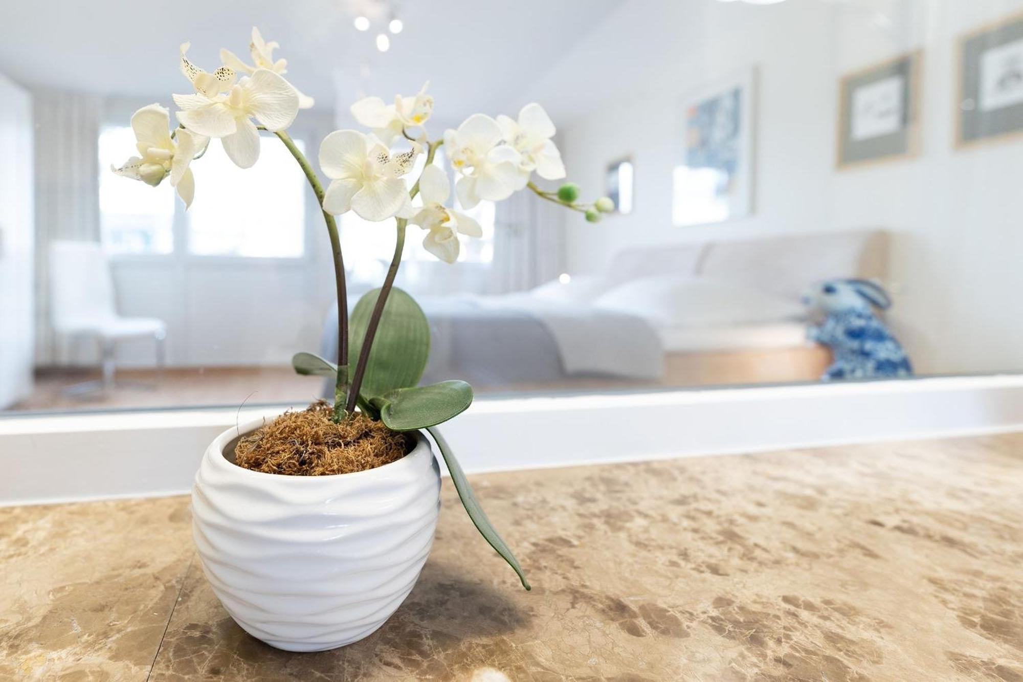 Haus Eva Mar Am Meer Appartement 1 Timmendorfer Strand Bagian luar foto